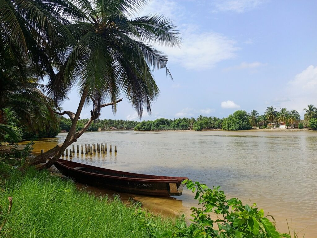 Pirogue amarrée au bord de la lagune sous un cocotier, à Assinie