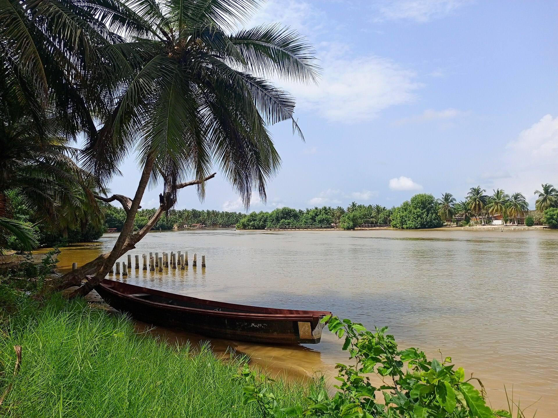 Pirogue amarrée au bord de la lagune sous un cocotier, à Assinie