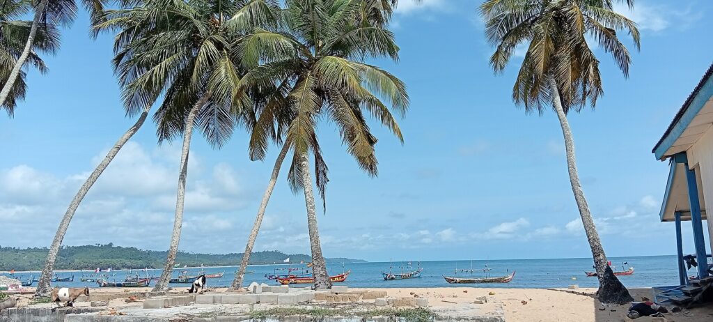 Cocotiers penchés au-dessus de la plage de sable de Monogaga, face à l'océan, près de San-Pédro