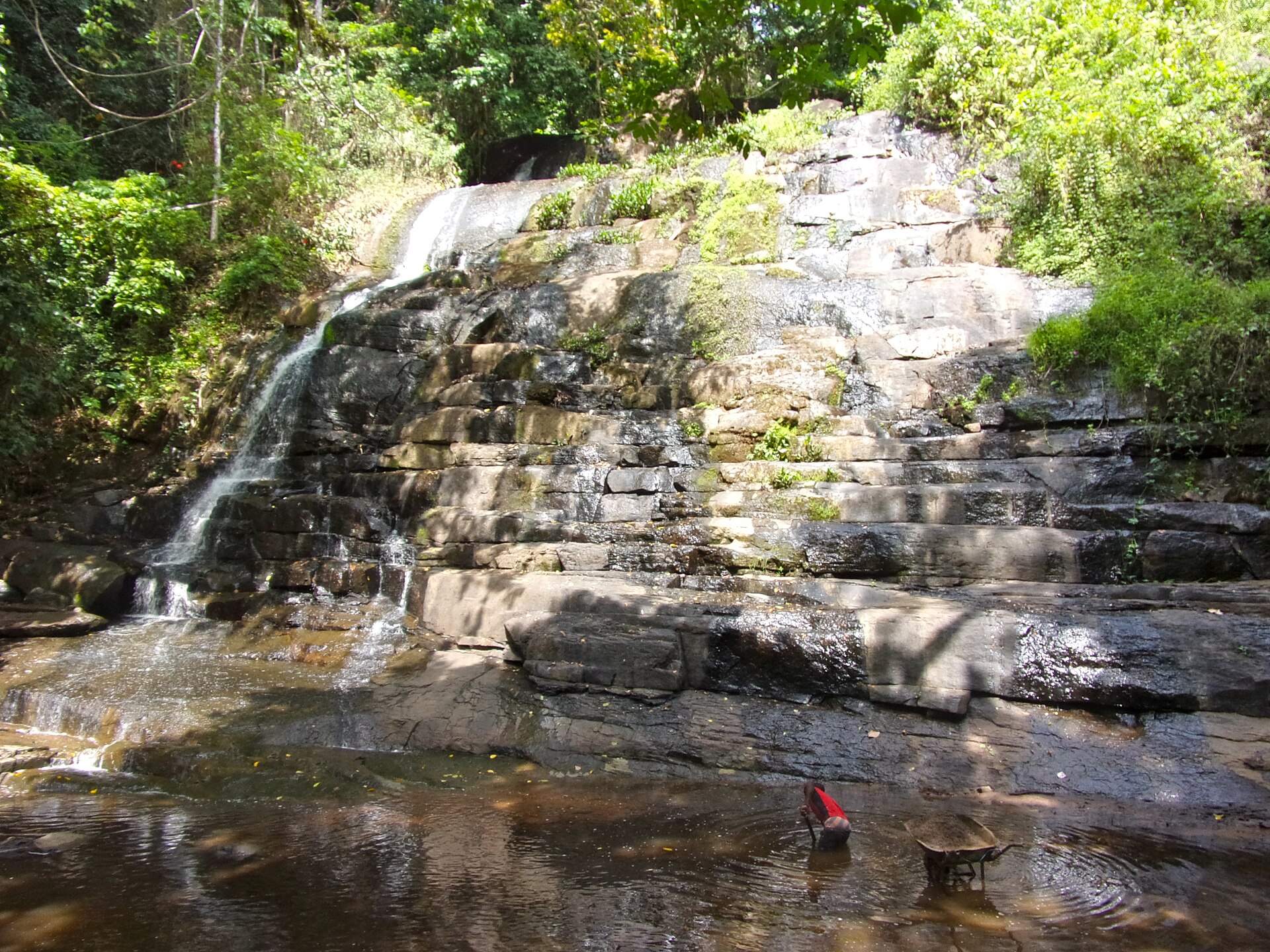 La cascade de Man ruisselant sur des dalles de roche au milieu de la forêt