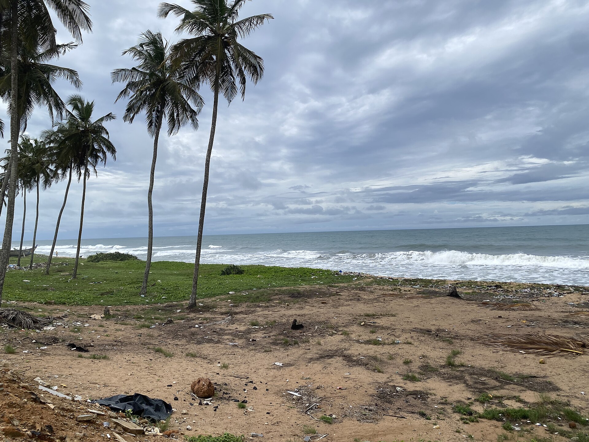 Cocotiers et herbe rase au bord d’une plage de sable à Jacqueville, sous un ciel nuageux