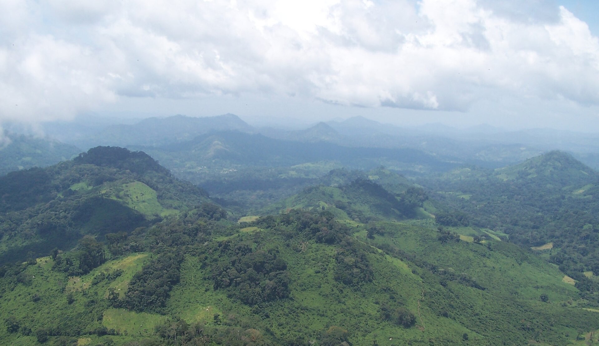 Collines verdoyantes du massif du mont Tonkoui, près de Man, vues du ciel