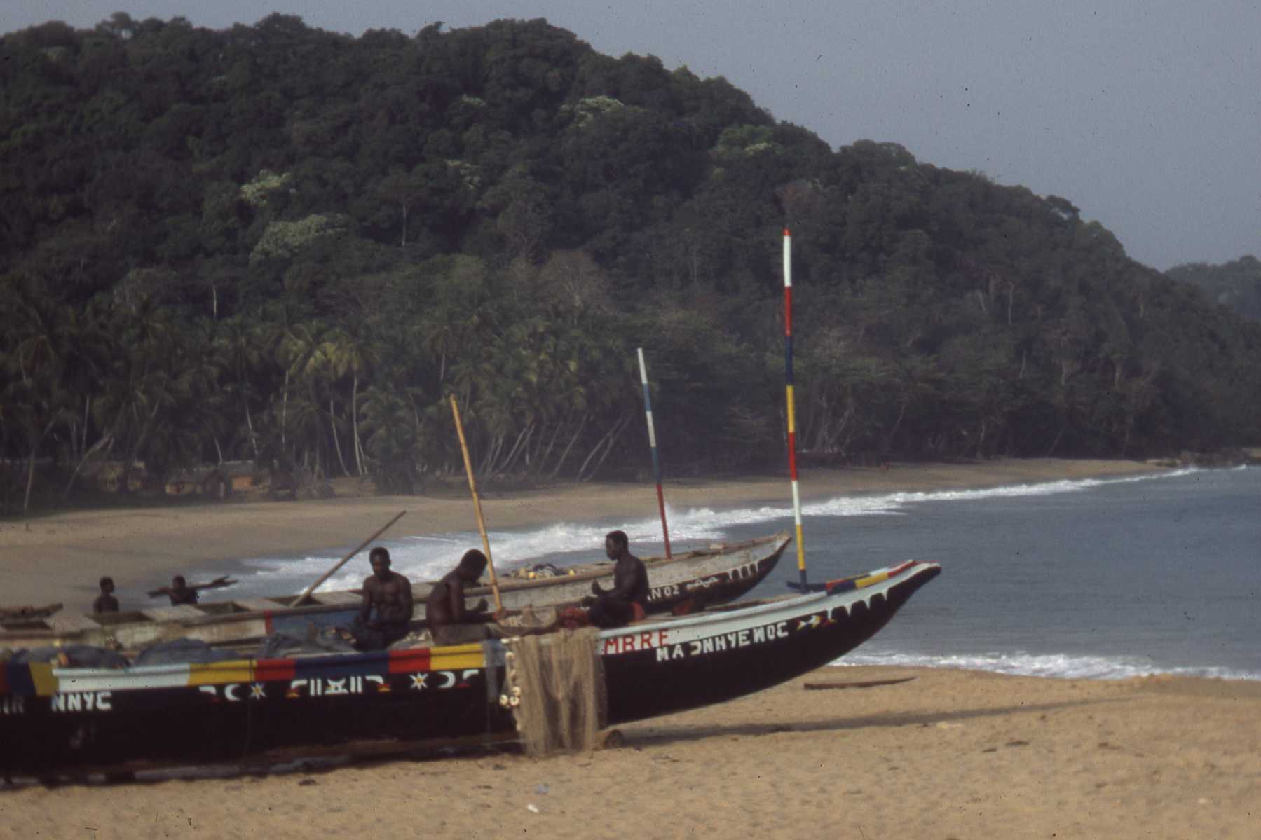 Pirogues de pêche colorées sur la plage de Sassandra, au pied d'une colline boisée