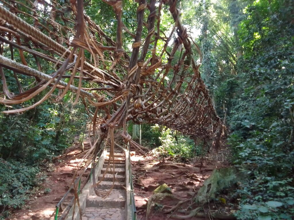 Passerelle de lianes tressées accrochée aux arbres au-dessus d’un escalier en forêt, sur le site de la cascade de Man