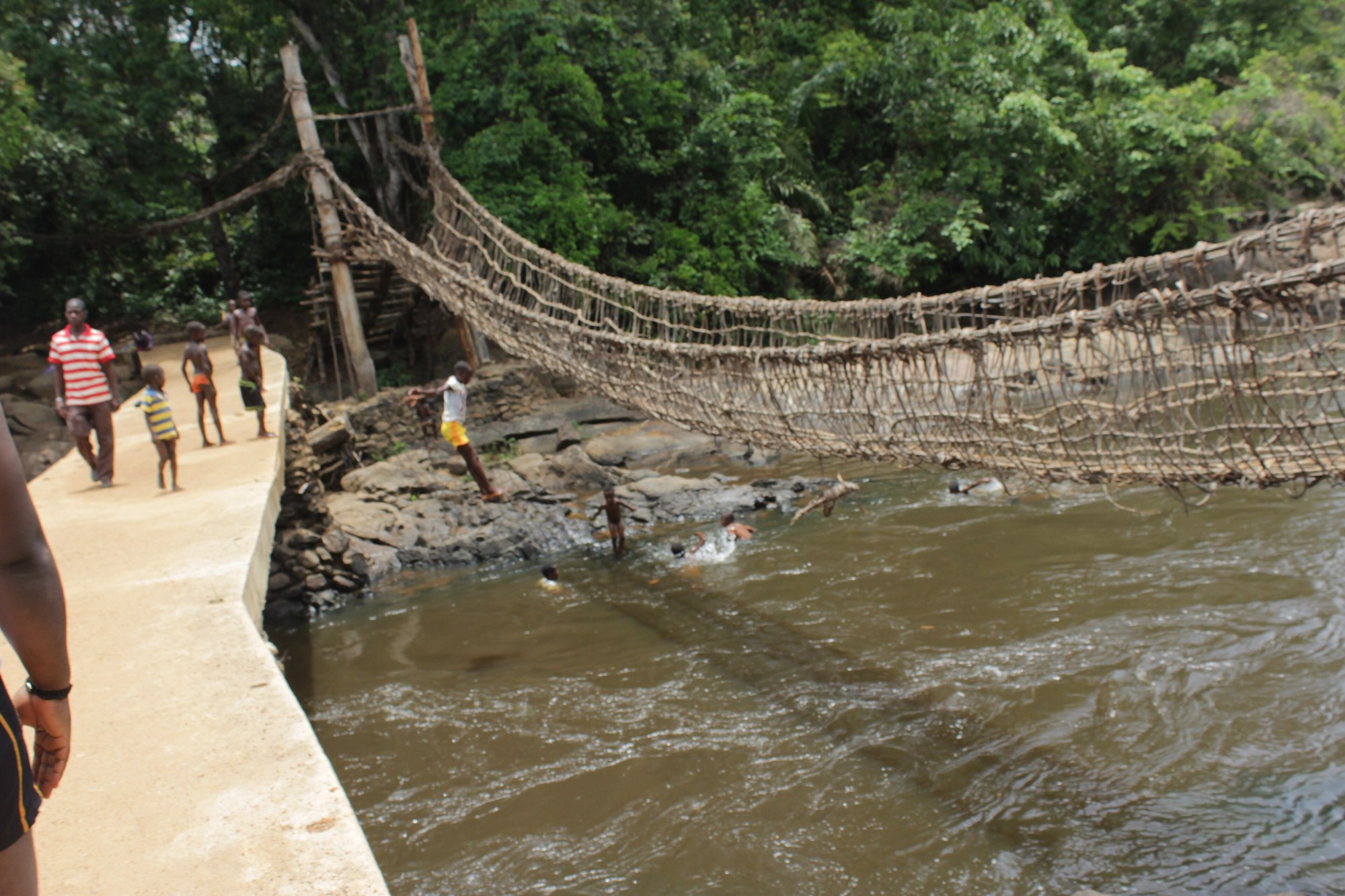 Pont de lianes de Lieupleu suspendu au-dessus d'une rivière, près de Danané