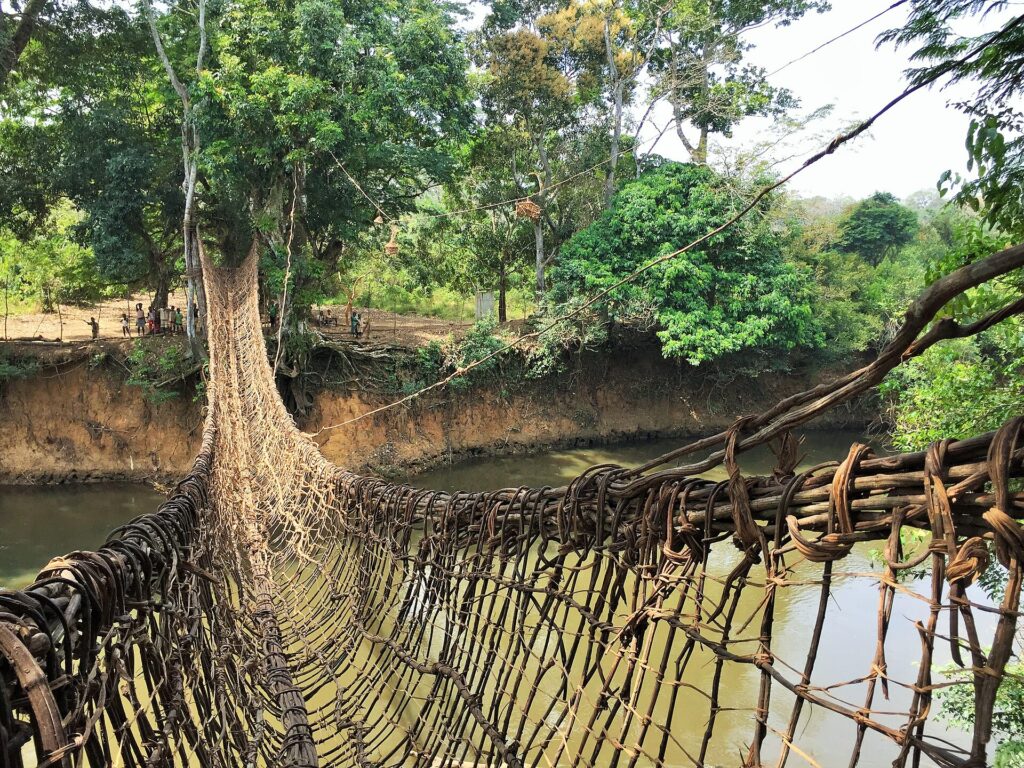 Vue depuis l’entrée du pont de lianes de Vatouo, tablier de lianes tressées suspendu au-dessus d’une rivière en forêt